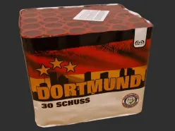 5494 Dortmund 30st 25mm