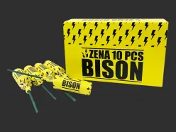 6732 Zena Bison