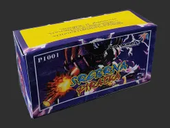 P1001 Srebrna Piratka