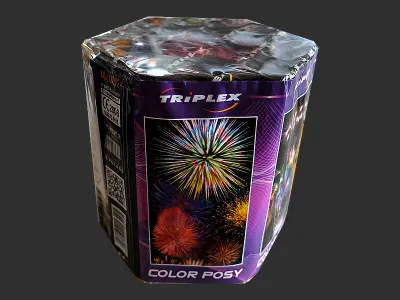 TXB649 Color Posy 19 st.