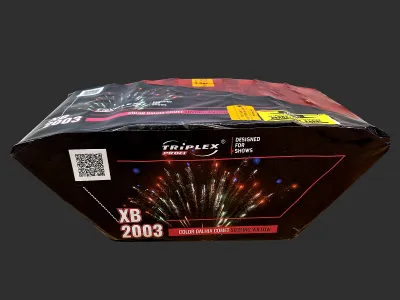 XB2003 Color Dahlia Comet to Sizzling Willow