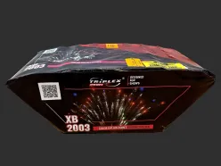 XB2003 Color Dahlia Comet to Sizzling Willow