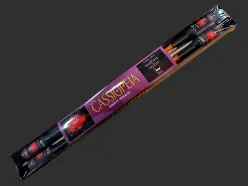 N3501 N3501 Cassiopeia