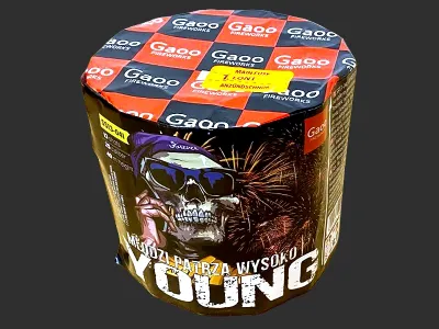 SS13-04I Young 13st 25mm