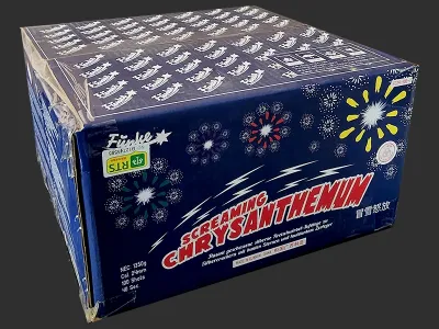 FC24-100-1 Screaming Chrysanthemum 100 st