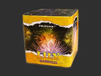 TXB174 Lily Magnolia