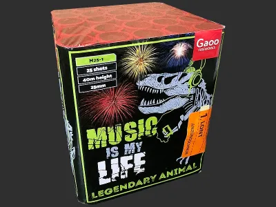 M25-1 Music is my life 25 st 