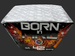TW14 BORN IN FIRE