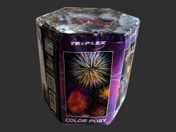 TXB649 Color Posy 19 st.