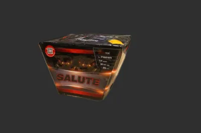 PXB2419 Salute 54st 0,8