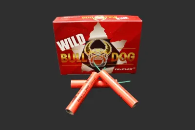 TXP845 BULL DOG WILD