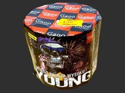 SS13-04I Young 13st 25mm