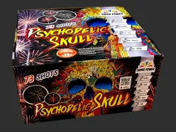 B73-2501 Psychodelic Skull