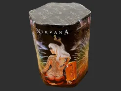 TXB562 Nirvana  19st. 1.2